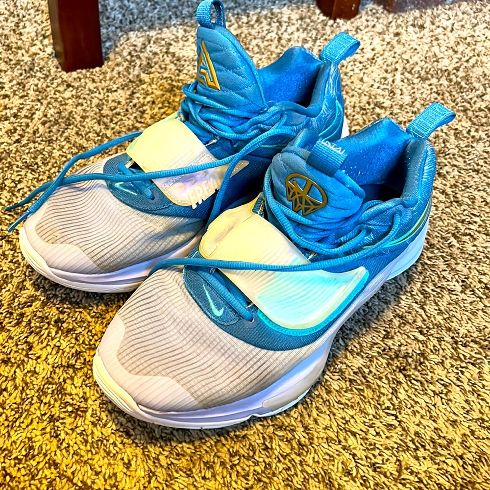 Nike Air Zoom Freak Basketball Shoes